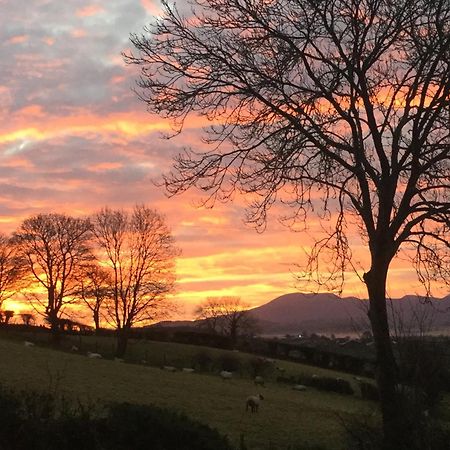 The View At 37 B&B Banbridge Exterior foto