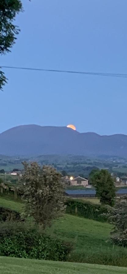 The View At 37 B&B Banbridge Exterior foto