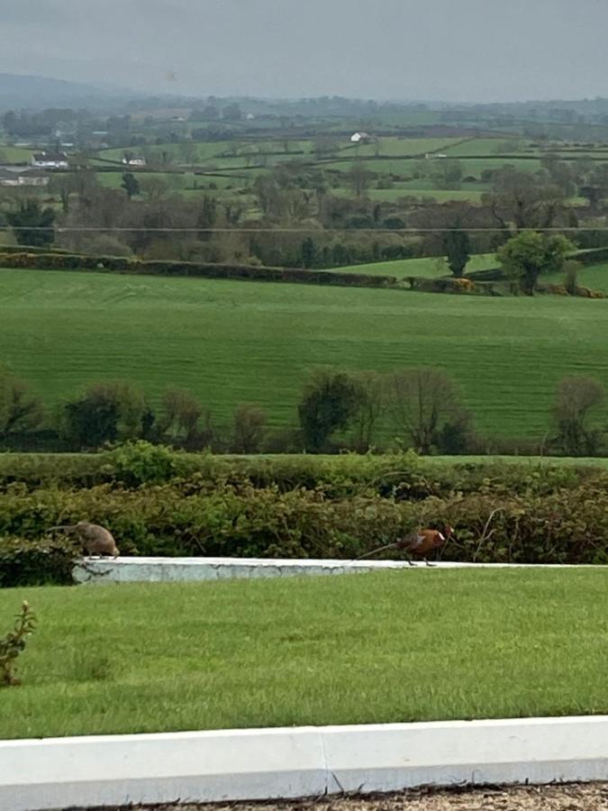 The View At 37 B&B Banbridge Exterior foto