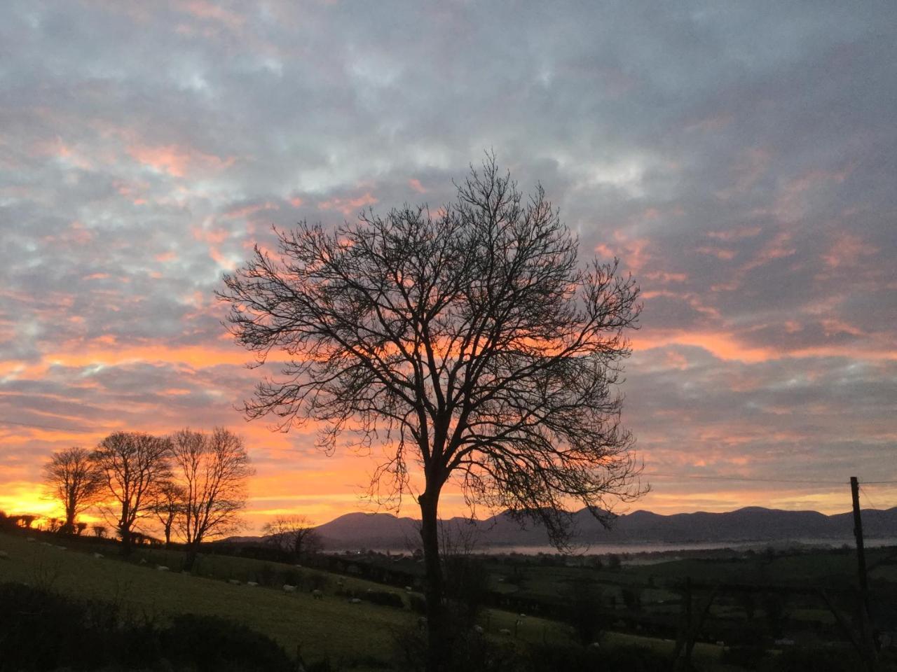 The View At 37 B&B Banbridge Exterior foto